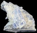 Kyanite Crystal Cluster with Quartz - Brazil #44989-1